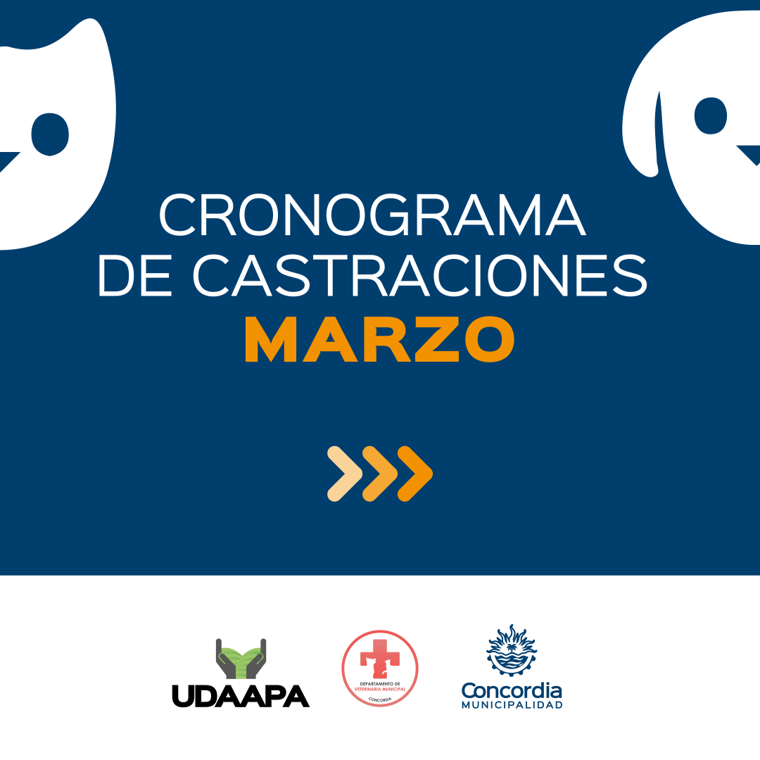<strong>CRONOGRAMA DE CASTRACIONES PARA LOS BARRIOS DE CONCORDIA</strong>