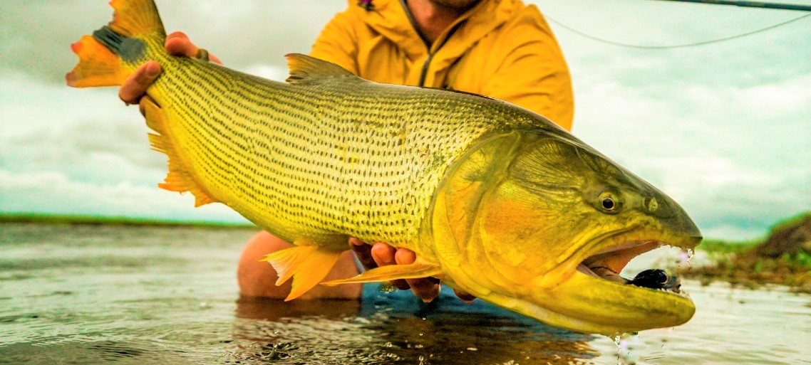 Entre Ríos es el segundo destino elegido para ir a pescar en el país