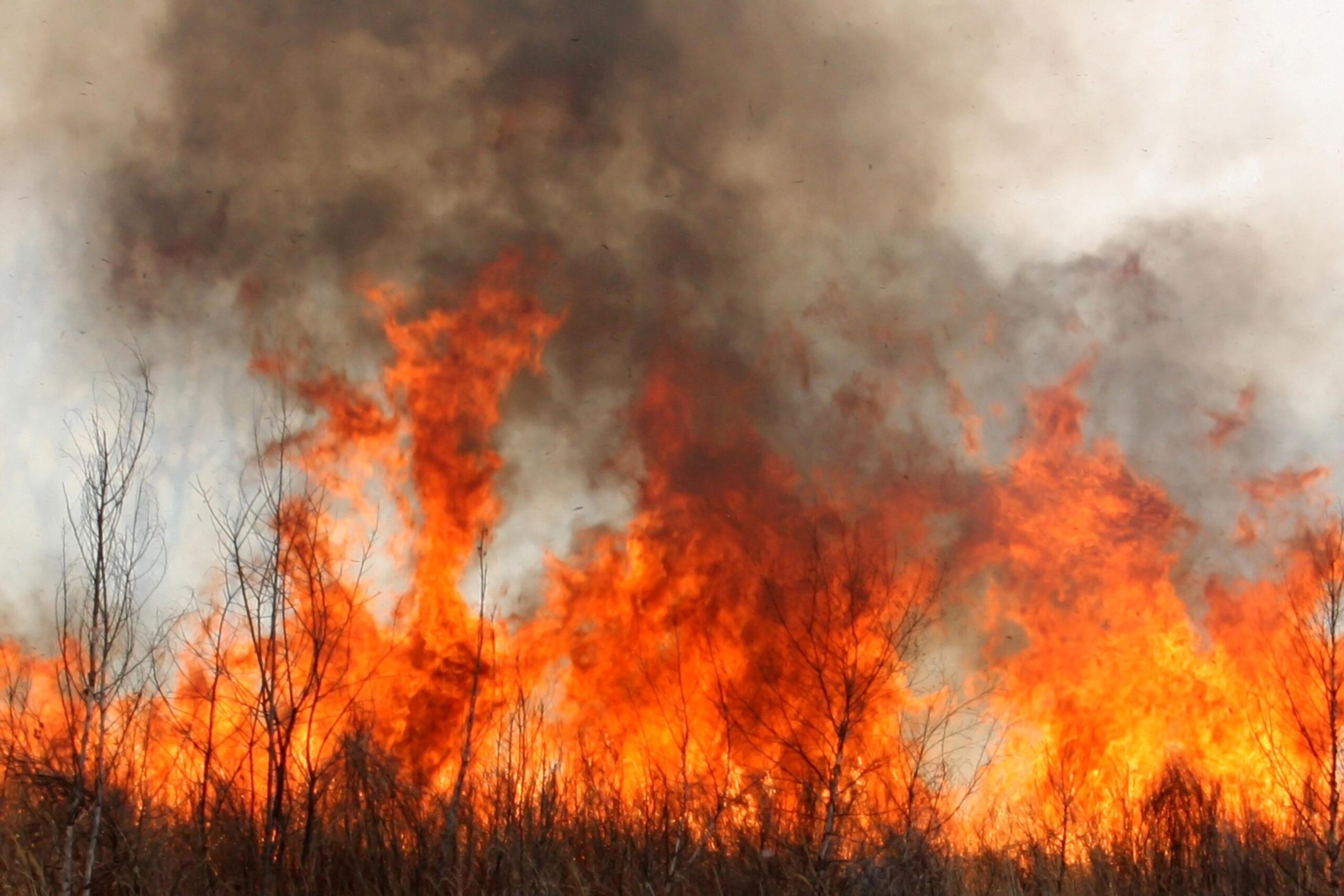 Qué son los incendios de sexta generación y cómo impactan en la ola de calor récord de Europa