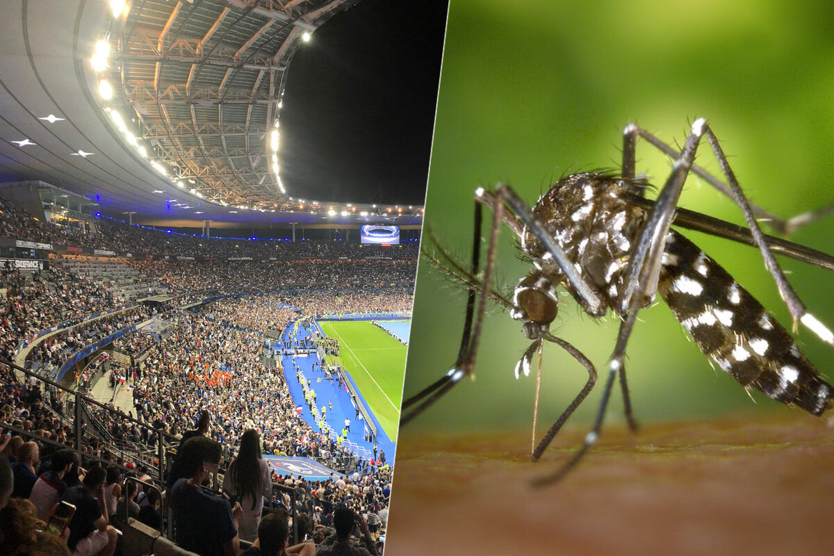 Preocupación por el Dengue en París cuando se acercan los Juegos Olímpicos