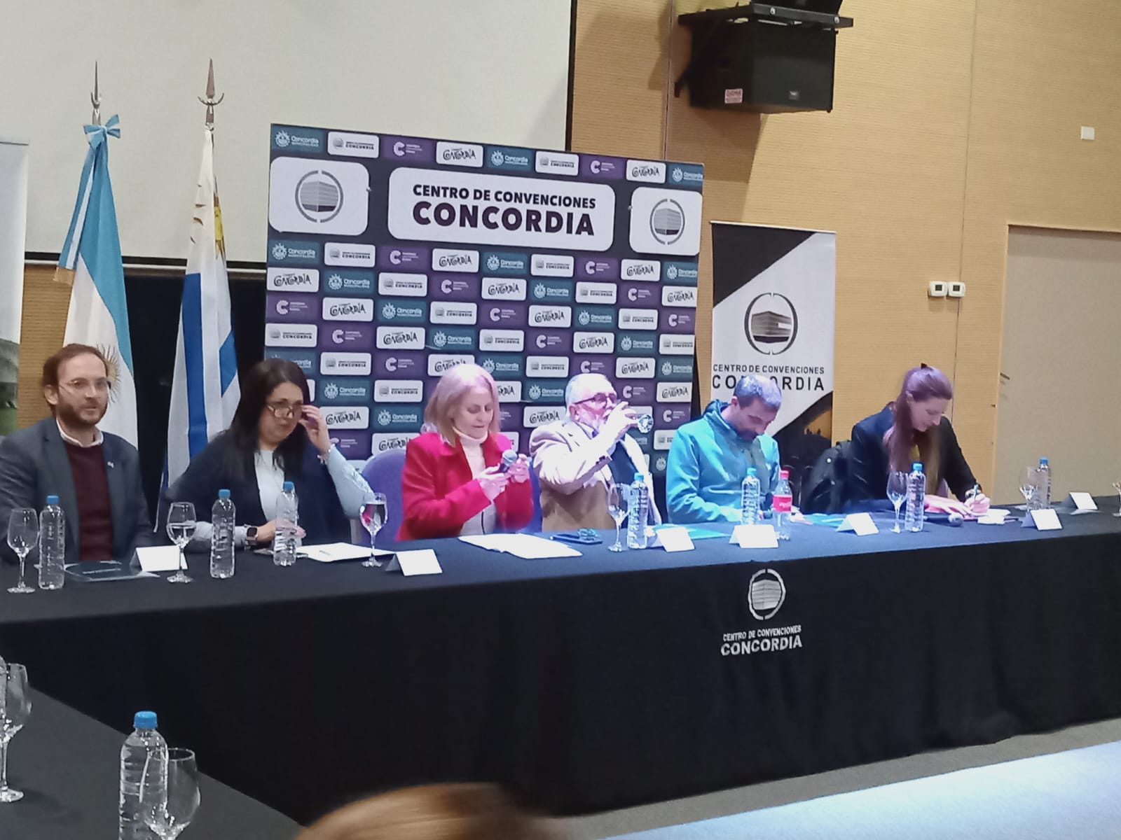 Se llevó a cabo la segunda reunión de trabajo de concejales y ediles de Concordia y Salto.