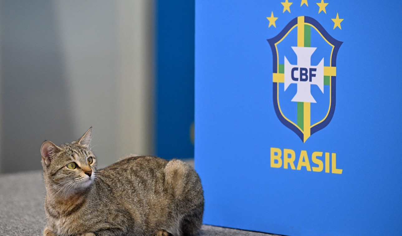 LA MALDICIÓN DEL GATO PERSIGUE AL SELECCIONADO BRASILERO