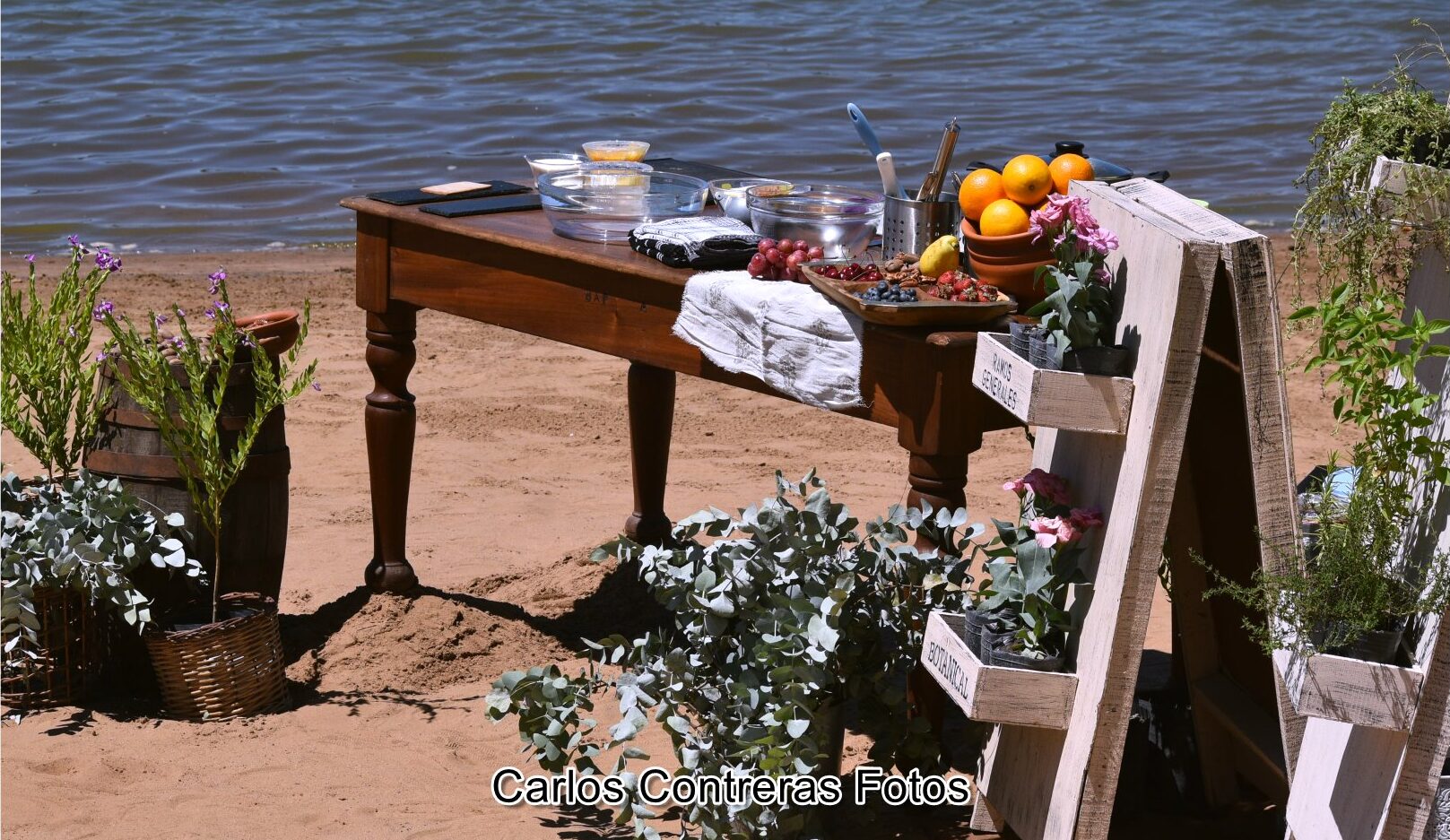 LANZAMIENTO DE LA TEMPORADA DE VERANO 2026