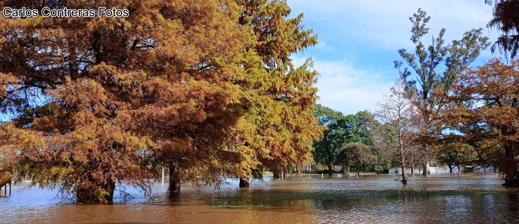 ACCIONES CONJUNTAS ANTE LA POSIBLE LLEGADA DE “EL NIÑO”