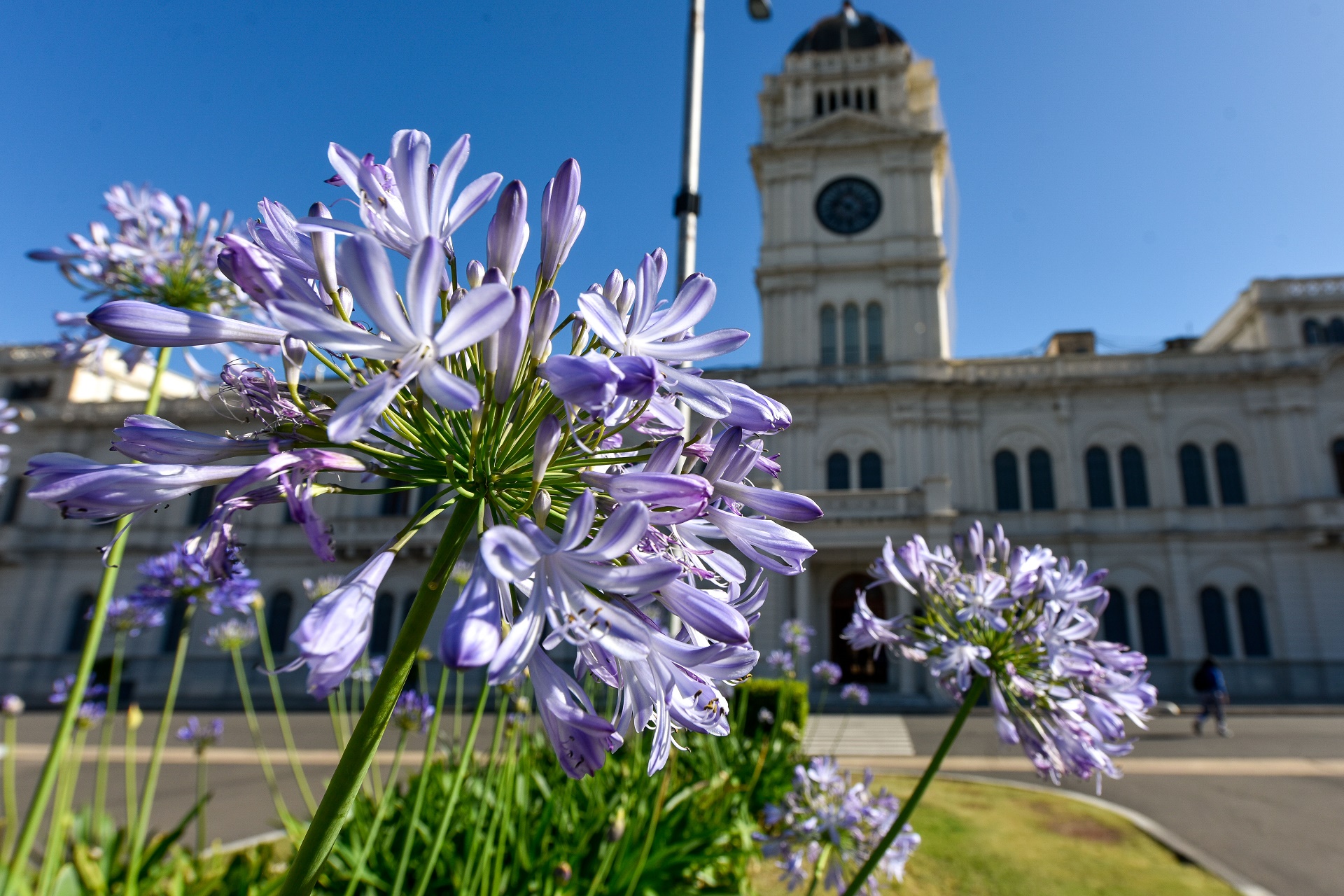 Qué se vota, cómo se usa la cabina de votación y  la BUP