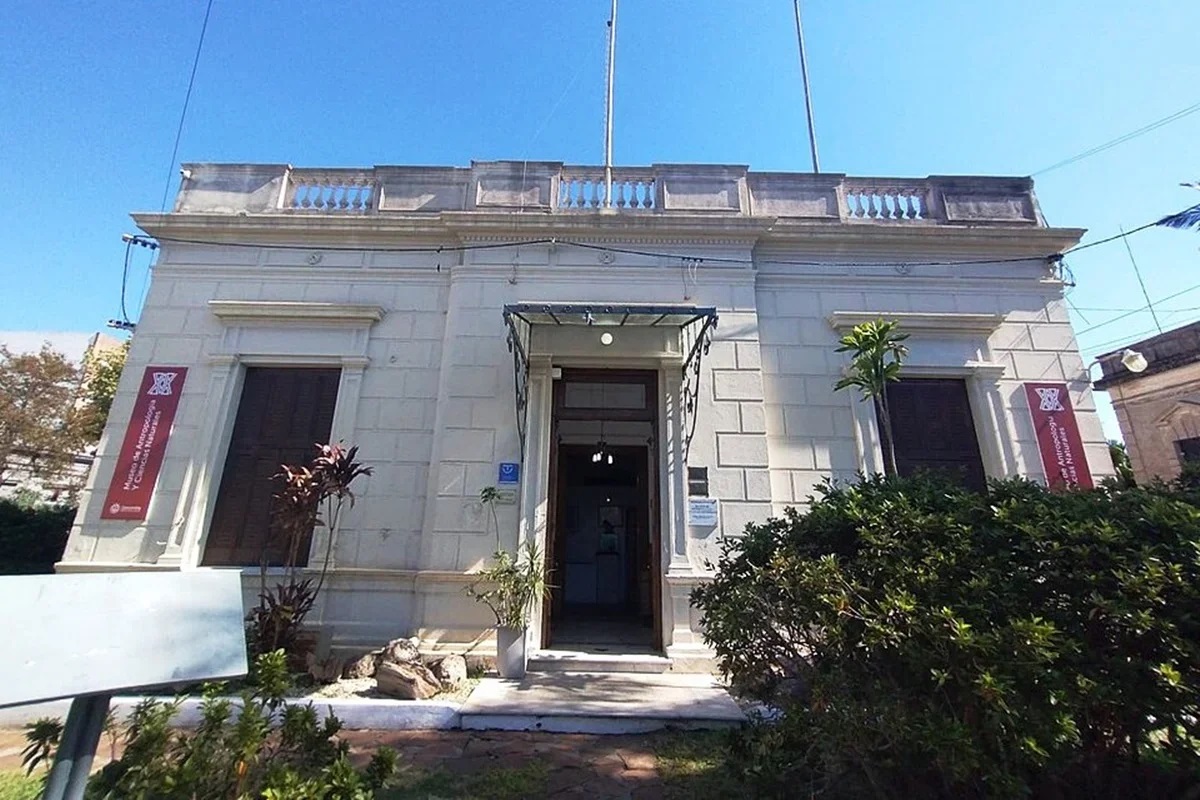 MUSEO DE ANTROPOLOGÍA Y CIENCIAS NATURALES