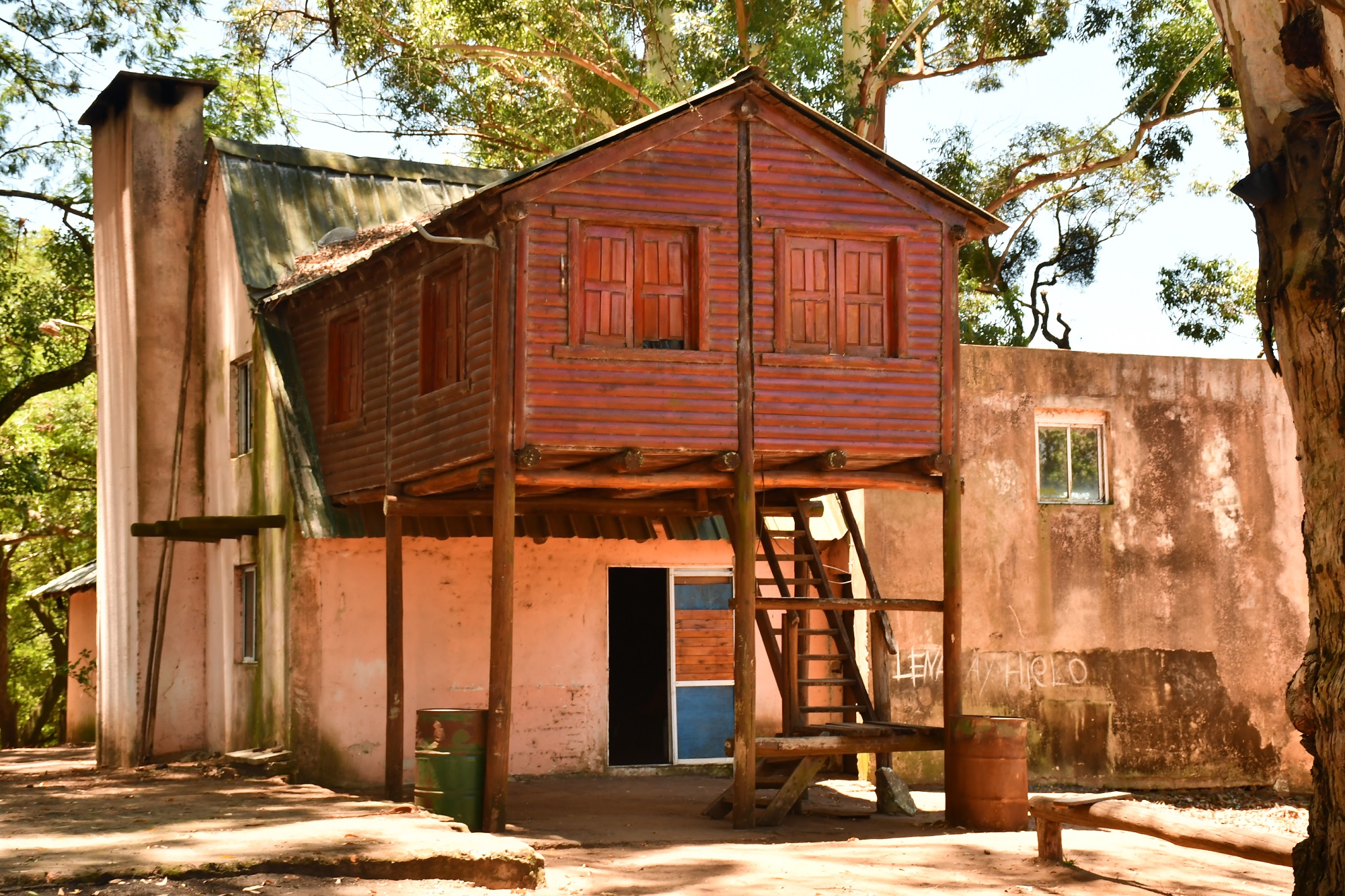 TORTUGA ALEGRE, MUY ALEGRE!