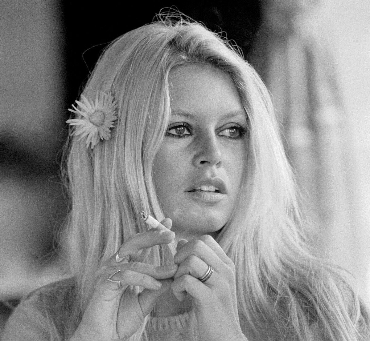 MURIÓ RICARDO «CHIQUI» PEREYRA, UNA SEX SYMBOL Y UN RADIOAFICIONADO DE CONCORDIA.