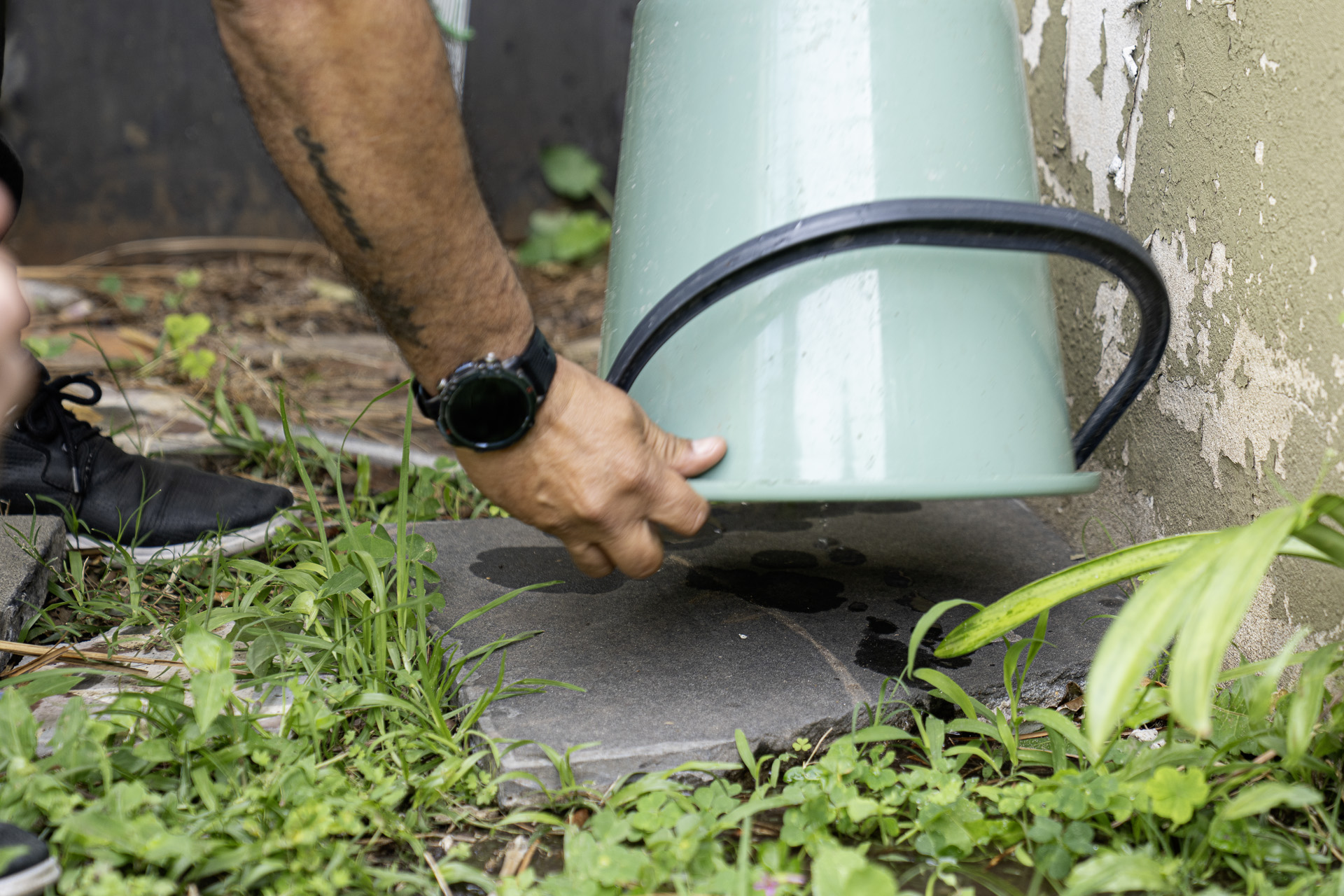La importancia de sostener el descacharrizado para prevenir el dengue