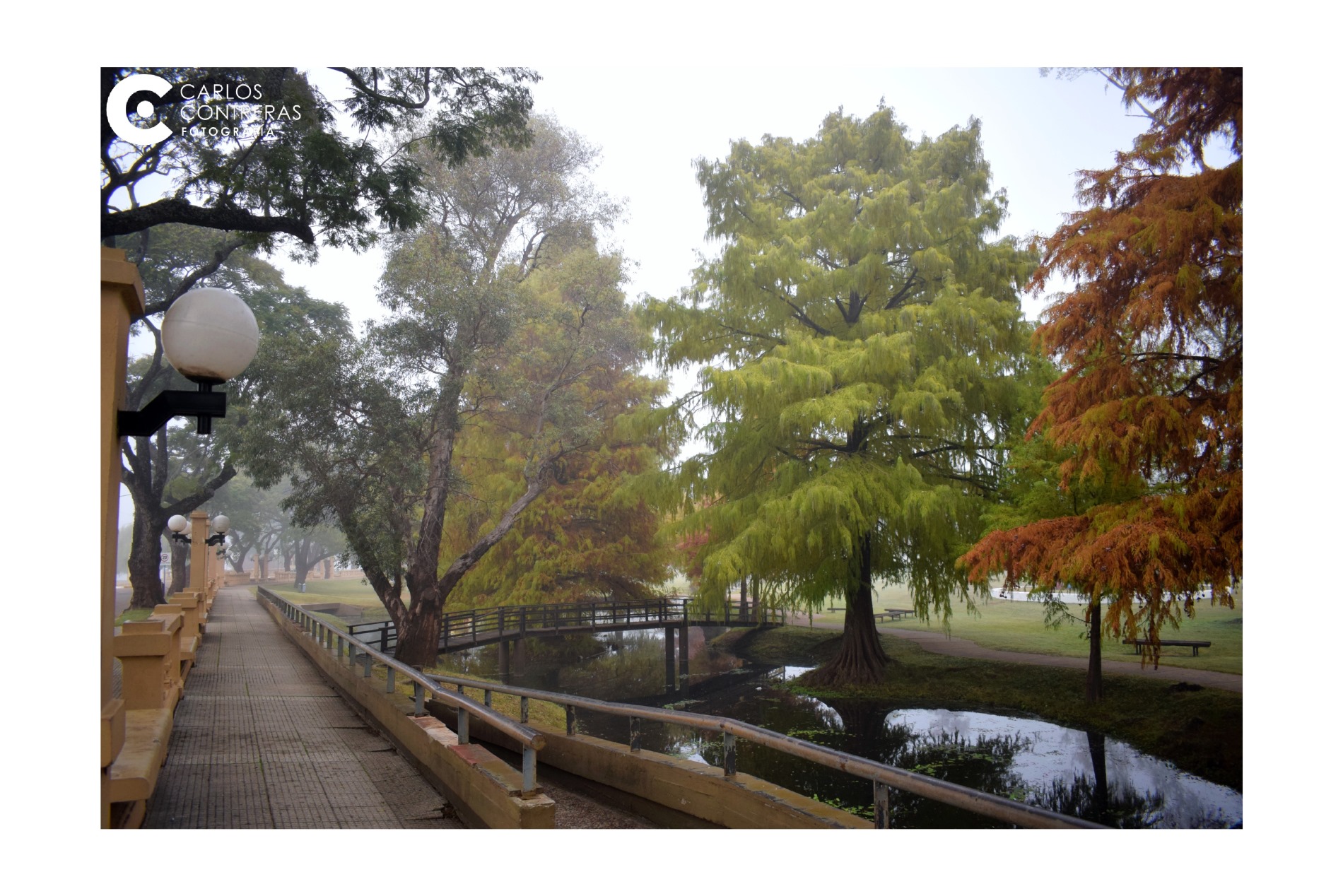 FOTOS NIEBLA EN CONCORDIA 2026