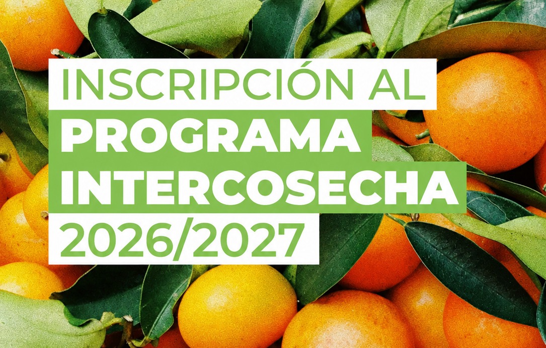 SE ABRE LA INSCRIPCIÓN AL PROGRAMA NACIONAL INTERCOSECHA 2026/2027 SE ABRE LA INSCRIPCIÓN AL PROGRAMA NACIONAL INTERCOSECHA 2026/2027