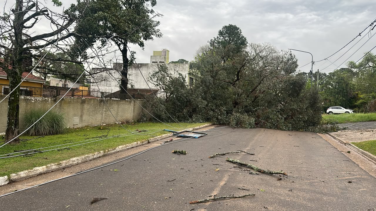 LA TORMENTA EN CONCORDIA DEJÓ VOLADURAS DE TECHOS, CAÍDAS DE ÁRBOLES Y VARIOS DESTROZOS